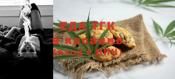 МДПВ Бородино