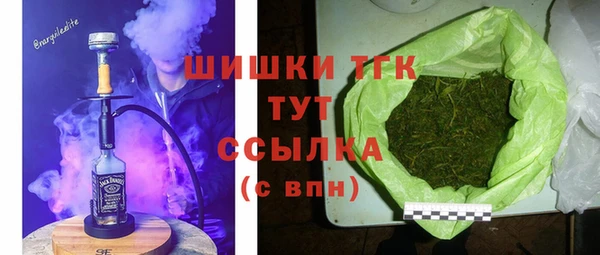 МДПВ Бородино