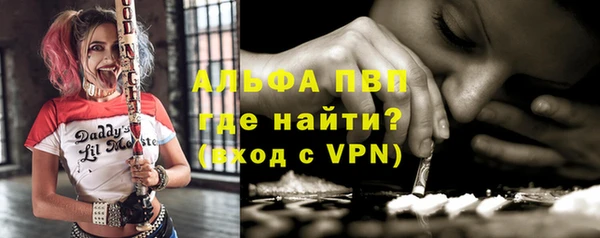 МДПВ Бородино