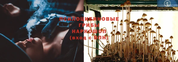 МДПВ Бородино