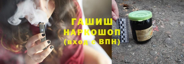 МДПВ Бородино