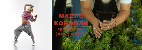 МДПВ Бородино