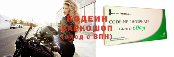 МДПВ Бородино