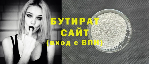 МДПВ Бородино