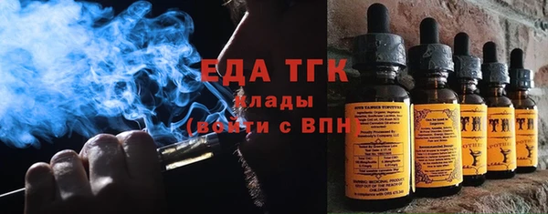 МДПВ Бородино