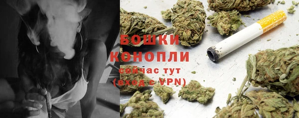 крисы Бугульма