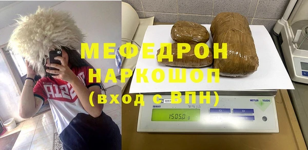 МДПВ Бородино